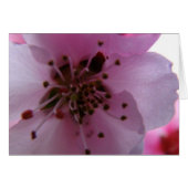 IMG_0037_3 (Front Horizontal)