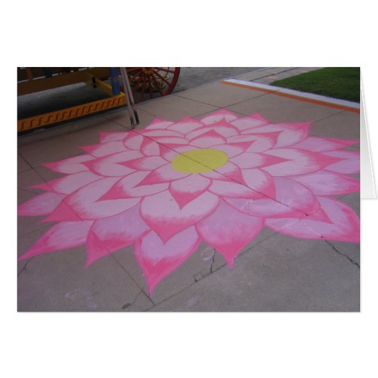 IMG_0081 (Front Horizontal)