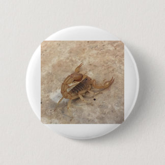 IMG_0147.JPG BUTTON