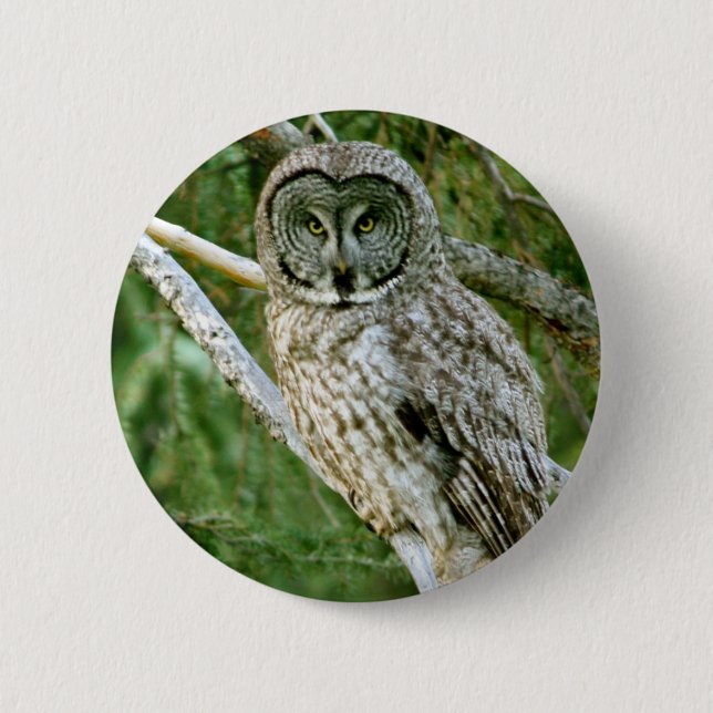 IMG_0297_2 BUTTON (Front)