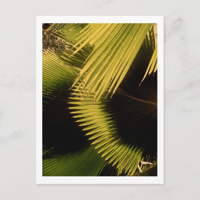 IMG_0453 POSTCARD (Front)