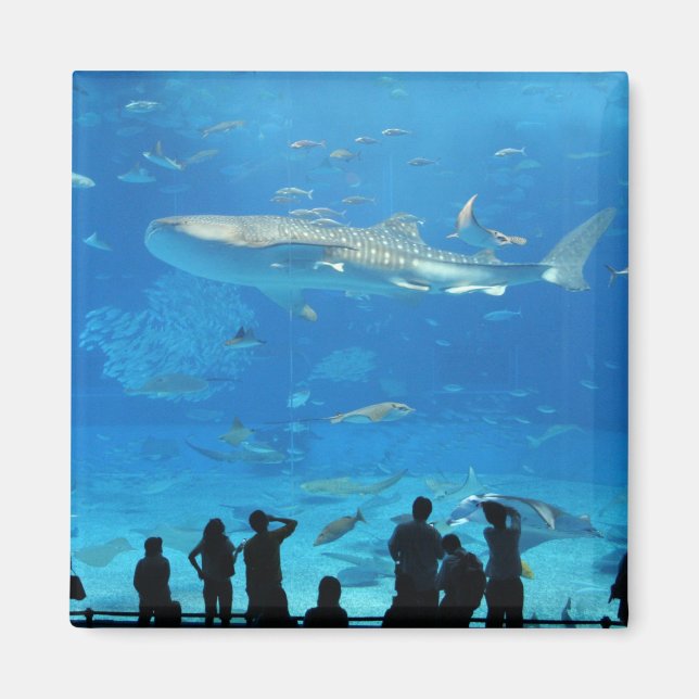 IMG_0598 MAGNET (Front)