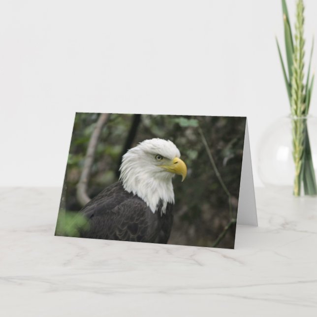 IMG_0673-eagle_5x7 Card (Front)