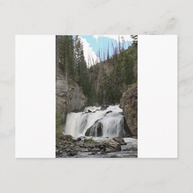 IMG_0994_1 POSTCARD (Front)