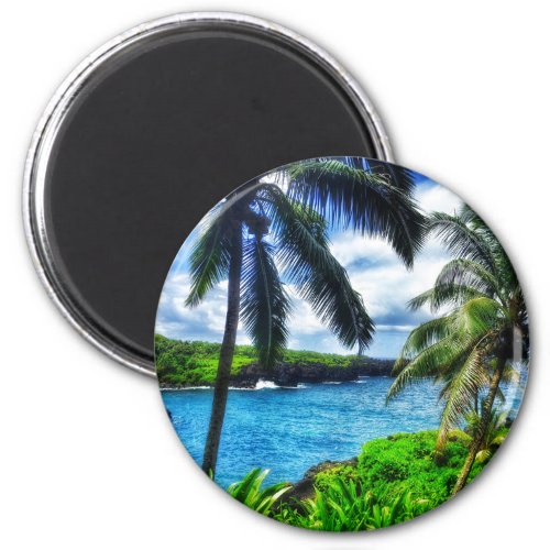 IMG_1122 4 Hawaiian Scene Black Sand Beach Magnet