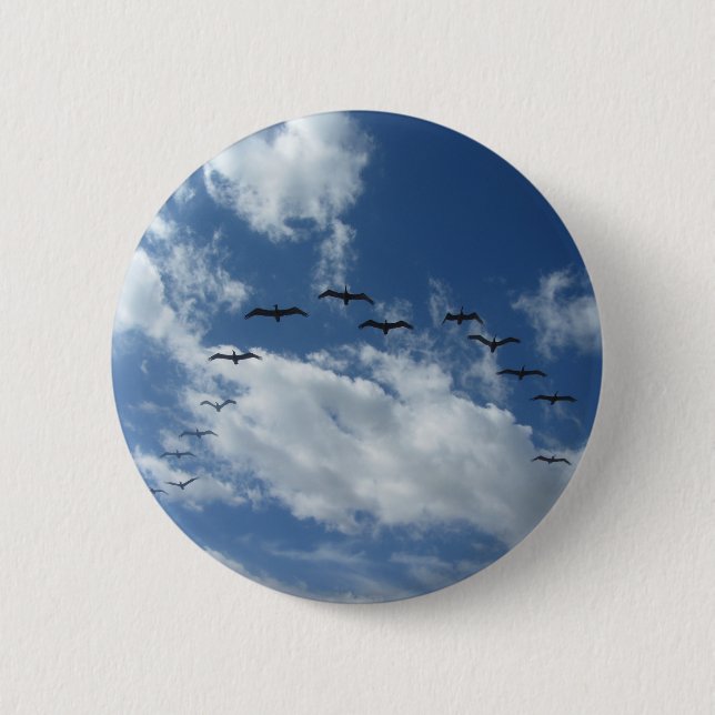 IMG_1155.JPG BUTTON (Front)