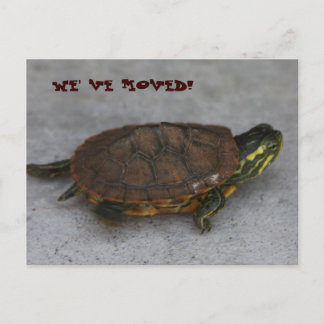 IMG_1195, WE' VE MOVED! ANNOUNCEMENT POSTCARD