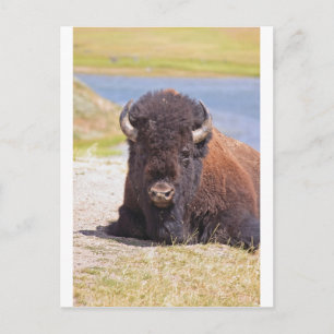 IMG_1227_1 POSTCARD