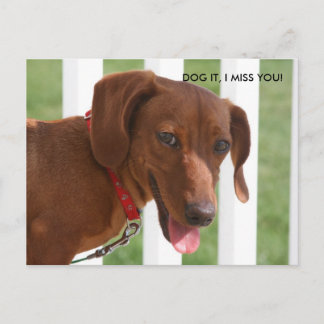 IMG_1331, DOG IT, I MISS YOU! POSTCARD