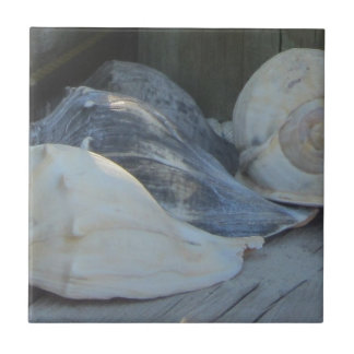 IMG_1498 (3).jpg Ceramic Tile