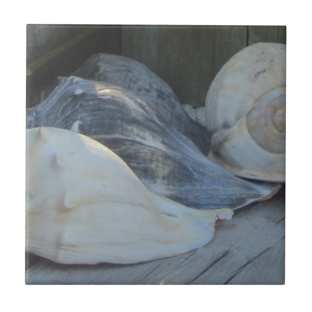 IMG_1498 (3).jpg Ceramic Tile (Front)