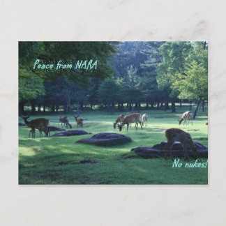 IMG_1664 NARA POSTCARD