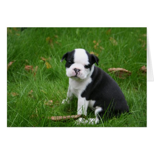 IMG_1665 (Front Horizontal)