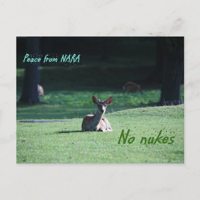 IMG_1713 nara Postcard (Front)