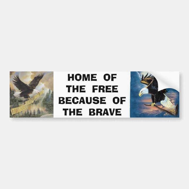img, 22 eagle, HOME  OF  THE  FREEBECAUSE  OF  ... Bumper Sticker (Front)