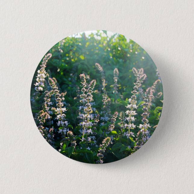 IMG_3703 PINBACK BUTTON (Front)