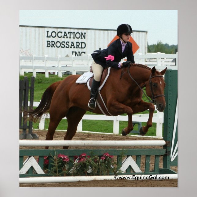 Img_3748 Poster (Front)