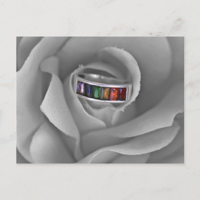 IMG_4572a Postcard (Front)