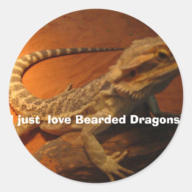 IMG_4705, I just  love Bearded Dragons! Classic Round Sticker (Front)
