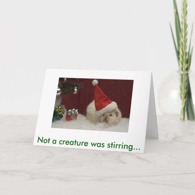 IMG_483201, Not a creature was stirring... Holiday Card (Front)