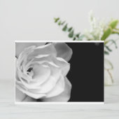 IMG_6537a (Standing Front)