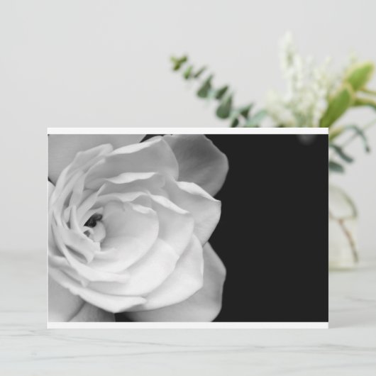 IMG_6537a (Standing Front)