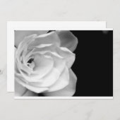 IMG_6537a (Front/Back)