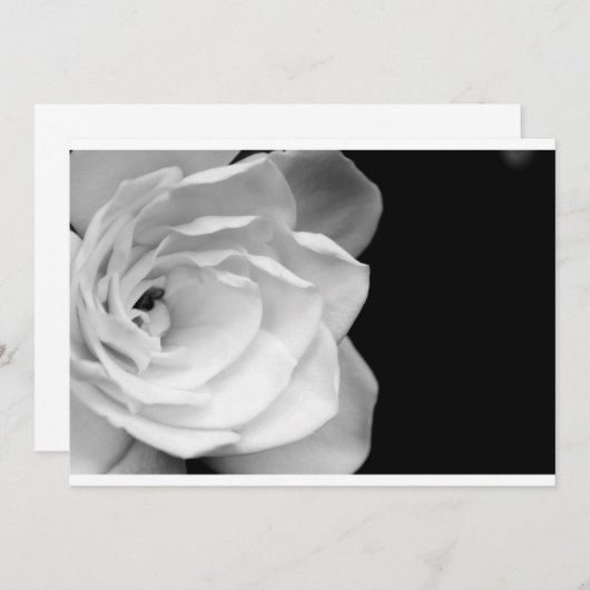 IMG_6537a (Front/Back)