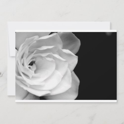 IMG_6537a Invitations