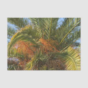 IMG_7080.JPGsummer, palm, leaf, tropical, tree, Tissue Paper
