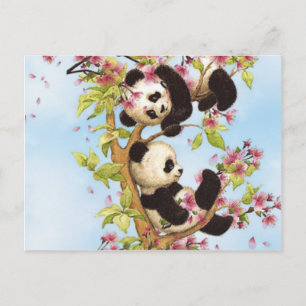 IMG_7386.PNG cute and colorful panda designed Postcard