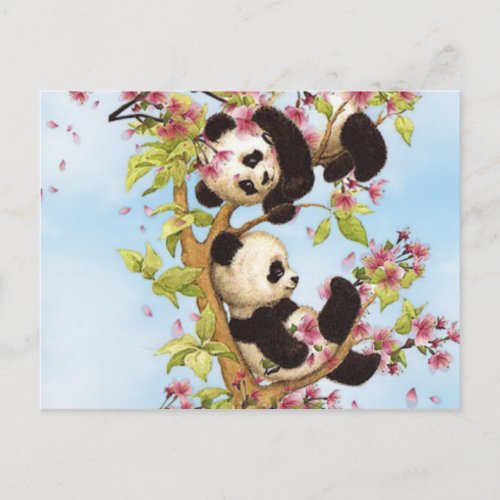 IMG_7386PNG  cute and colorful panda designed Postcard