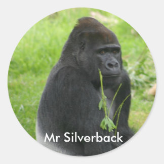 IMG_8810, Mr Silverback Classic Round Sticker