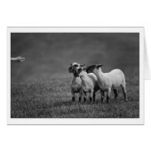 IMG_9504 copy (Front Horizontal)