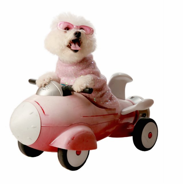 IMG_9656-F1 CUTOUT (Front)