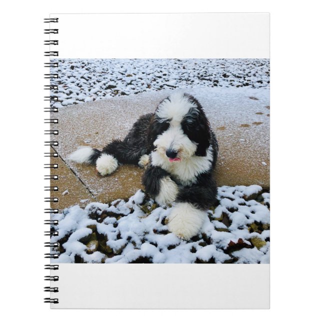 IMG_9916 NOTEBOOK (Front)