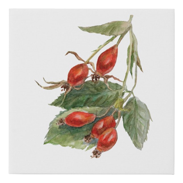 Imitation canevas "wild eglantier" faux canvas print (Front)