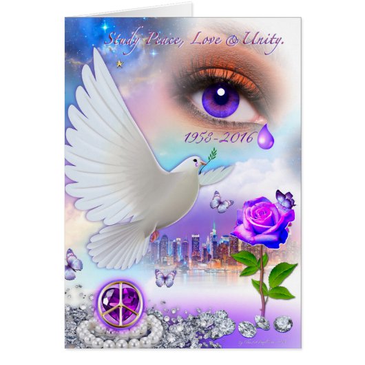 Immaculate Concept Design (Front)