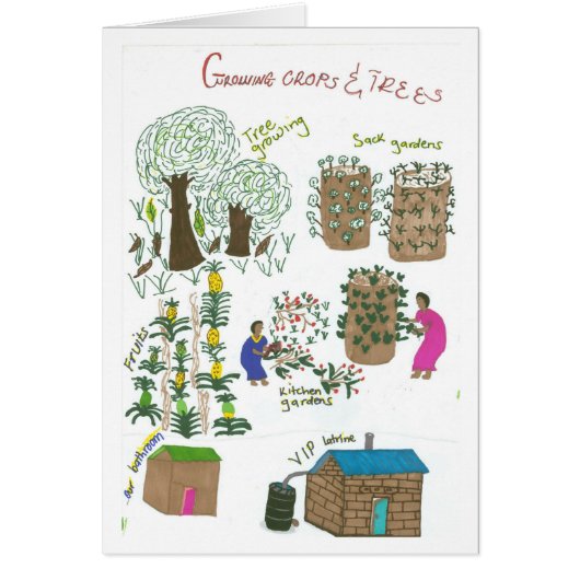 Immaculate's Bag Garden Cards (Front)