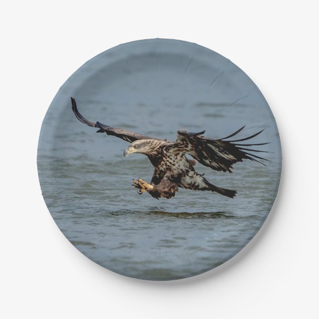 Immature Bald Eagle diving for a fish Paper Plates (Front)