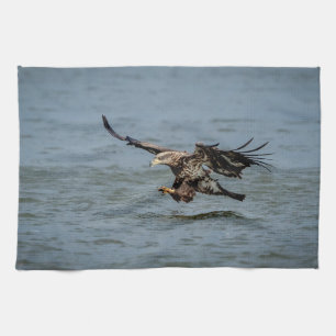Immature Bald Eagle diving for a fish Towel
