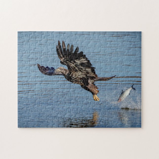Immature Bald Eagle dropping a fish Jigsaw Puzzle (Horizontal)