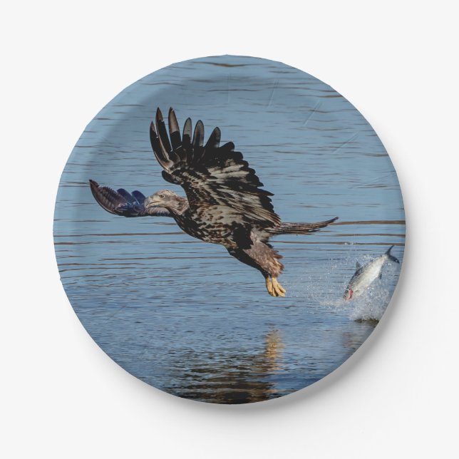 Immature Bald Eagle dropping a fish Paper Plates (Front)