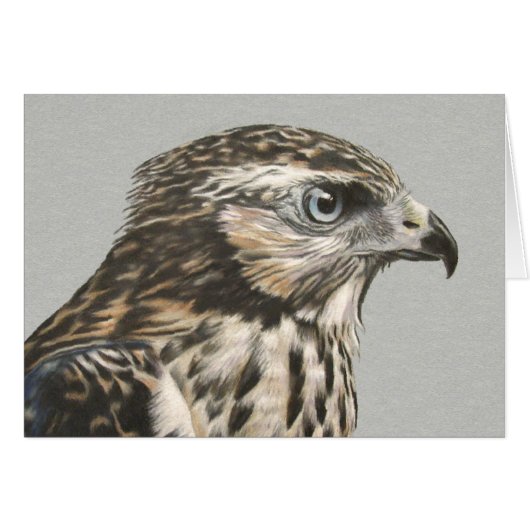 Immature Goshawk card (Front Horizontal)