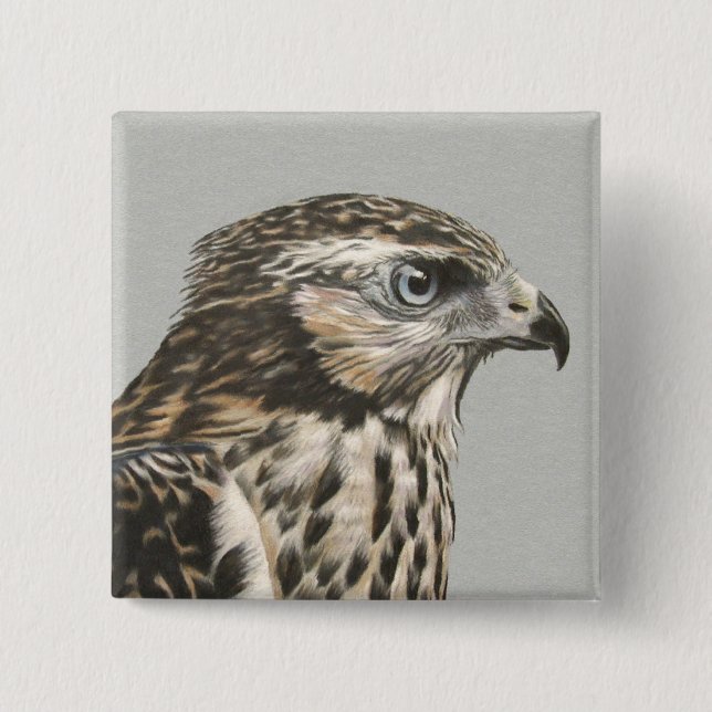Immature Goshawk Pinback Button (Front)