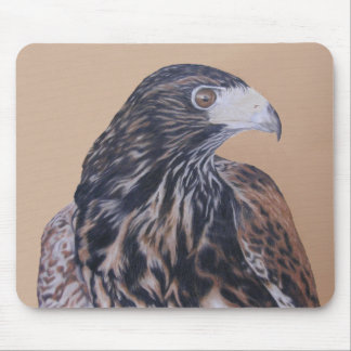Immature Harris Hawk Mouse Pad