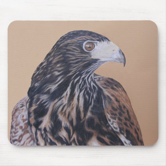 Immature Harris Hawk Mouse Pad (Front)