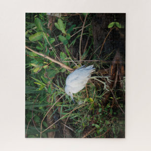 Immature Little Blue Heron Jigsaw Puzzle