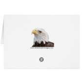 Immature Red Tailed Hawk (Back Horizontal)