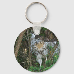 Immature Red Tailed Hawk Coordinating Items Keychain